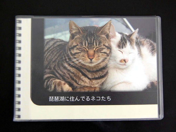 アルバムカバー　フォトブックや写真のアルバムなどを保護するビニールカバー